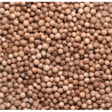 BIO KORIANDER, EGÉSZ, 500 G